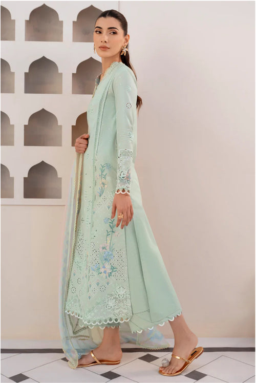 QALAMKAR-QLINE-MAIA✨️ (QAL-0156)