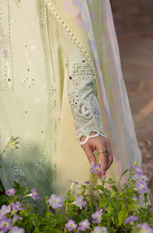 QALAMKAR-QLINE-MAIA✨️ (QAL-0156)