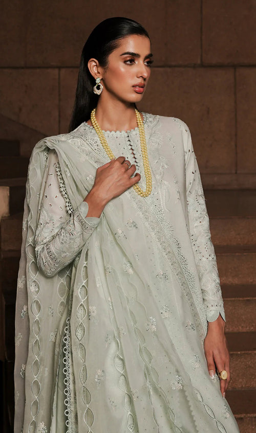 CELADON FESTIVE LAWN (AFRZ-0065)