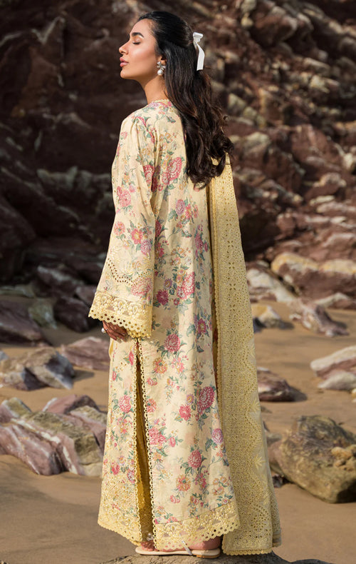 ASPEN LAWNKARI COLLECTION (AFRZ-0081)