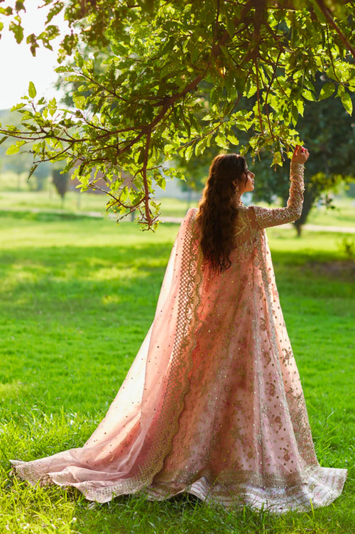 SHADMANI - SAIRA (QAL-0110) FULLY LINED