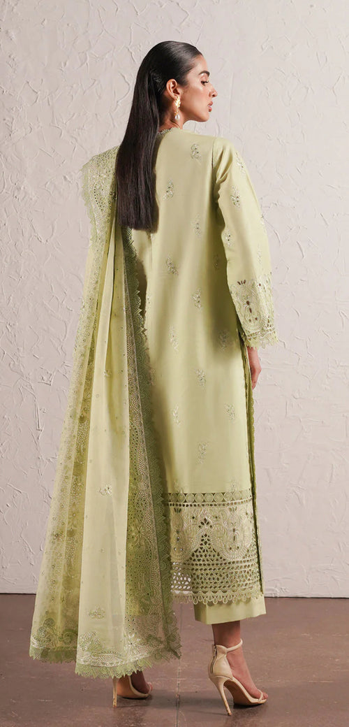 KELLY FESTIVE LAWN (AFRZ-0060)