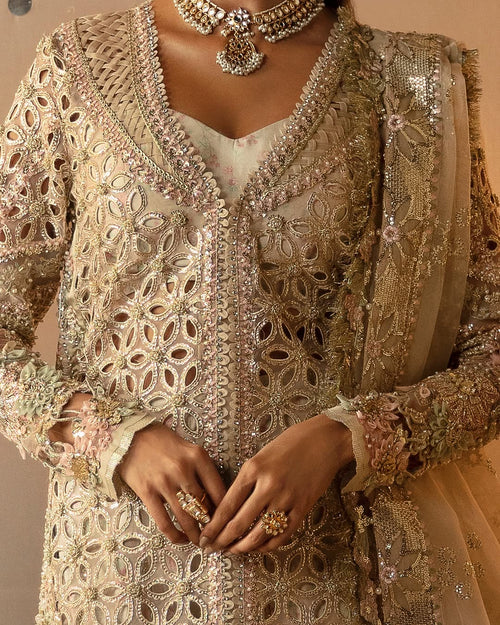 ANIQA (AFRZ-0045)
