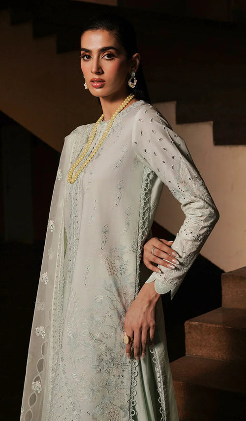 CELADON FESTIVE LAWN (AFRZ-0065)