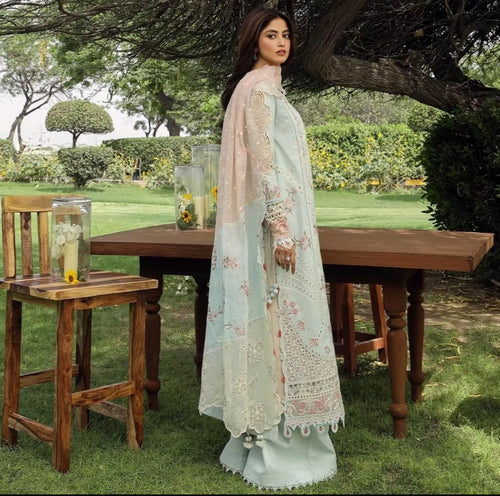 FESTIVE LAWN ALIZAY (QAL-0038)