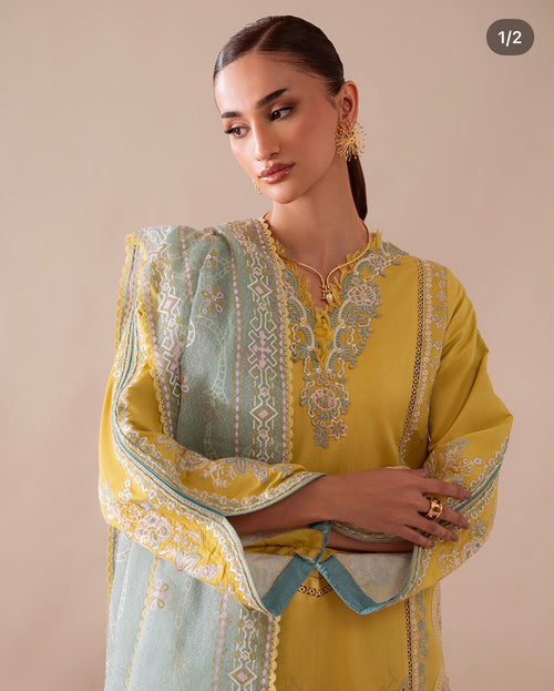 ALIYANA’S - MEHRA - MIRAAL EMBROIDERY VISCOSE’ 25 - (ALY - 0058)