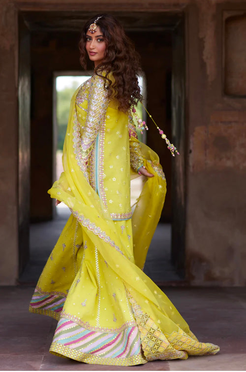 SHADMANI - DANIA (QAL-0107) FULLY LINED