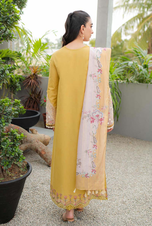 QLINE MIEL (QAL-0081)