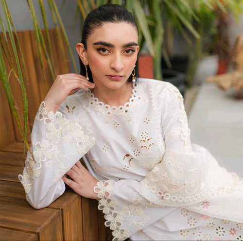 Qalamkar - Qline loose fitting Summer Collection Elegant Embroidered Long Sleeve Womenswear (QAl-0016)