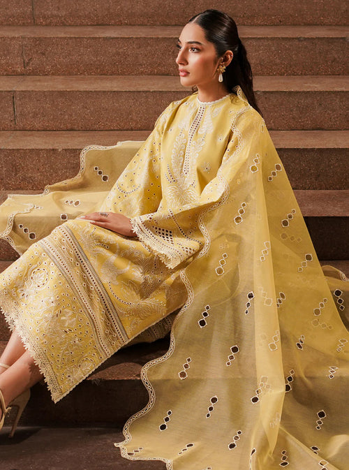 CANARY FESTIVE LAWN (AFRZ-0062)