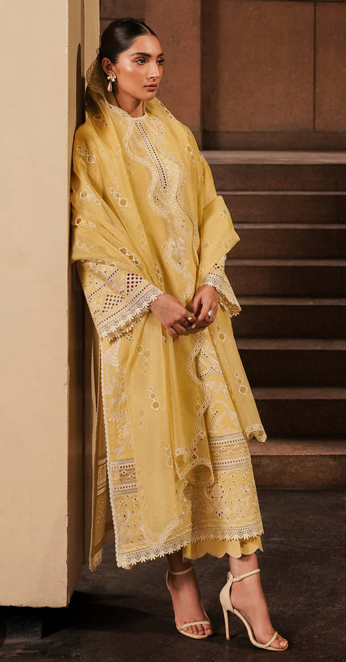 CANARY FESTIVE LAWN (AFRZ-0062)