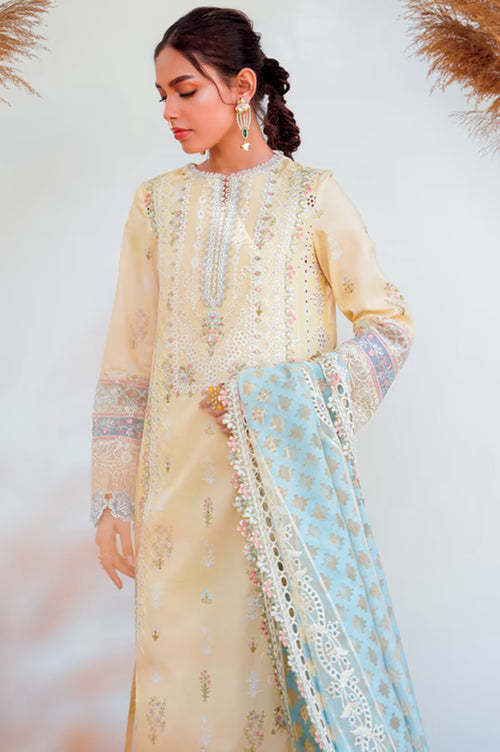 QLINEKARI - RYAN (QAL-0103)