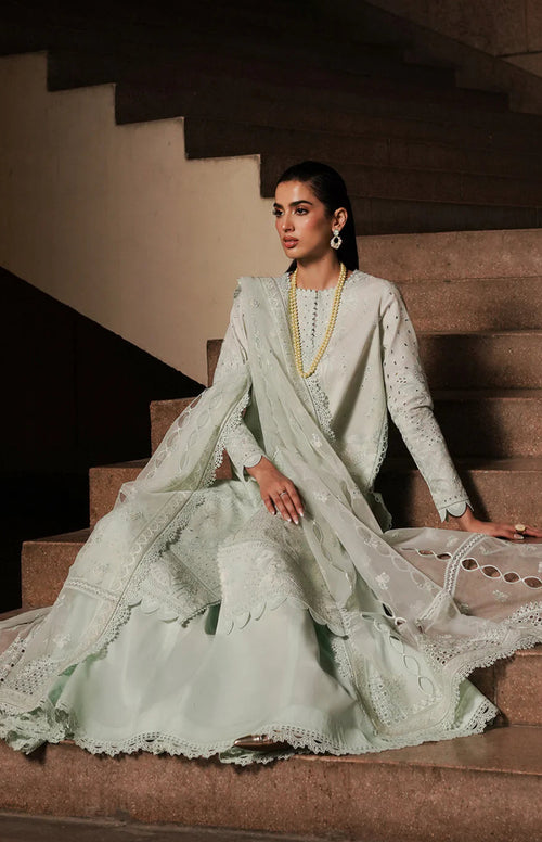 CELADON FESTIVE LAWN (AFRZ-0065)