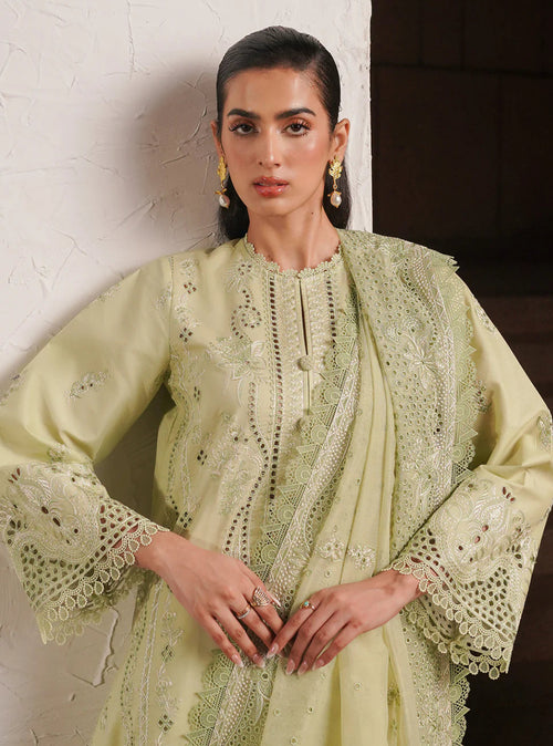 KELLY FESTIVE LAWN (AFRZ-0060)