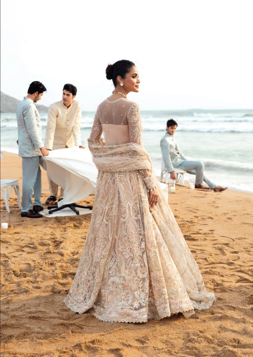 Afsheen Afrozeh Dastangoi'24 - Women's Wedding Formal Dress (AFRZ-0007)