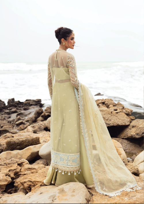 Leela Afrozeh Dastangoi'24 Women's Wedding Formal Dress - Womenswear (AFRZ-0009)