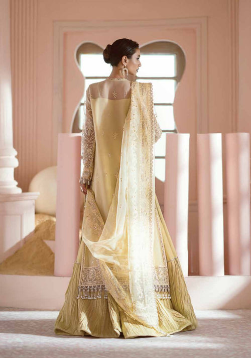 Leia - Afrozeh Luminara Wedding Formals 2024 (AFZR-0022)