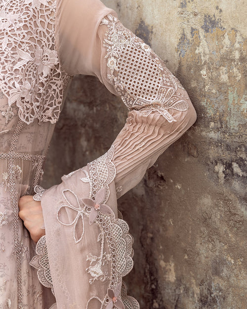 QALAMKAR-AISLA-(QAL-0228)