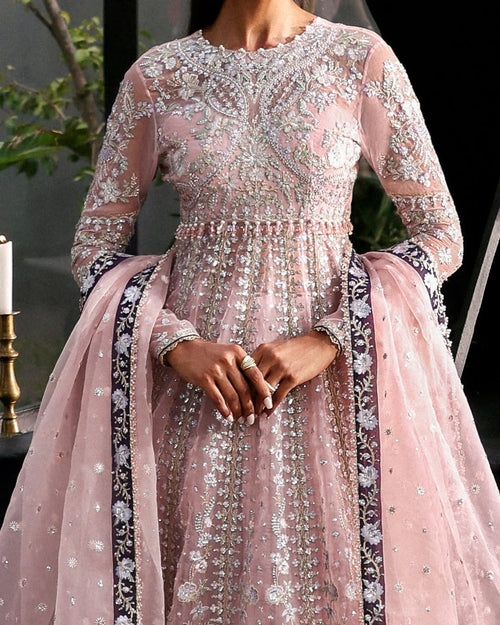 AFROZEH - LA FUCHSIA ZEAL - ( AFRZ-0130 )