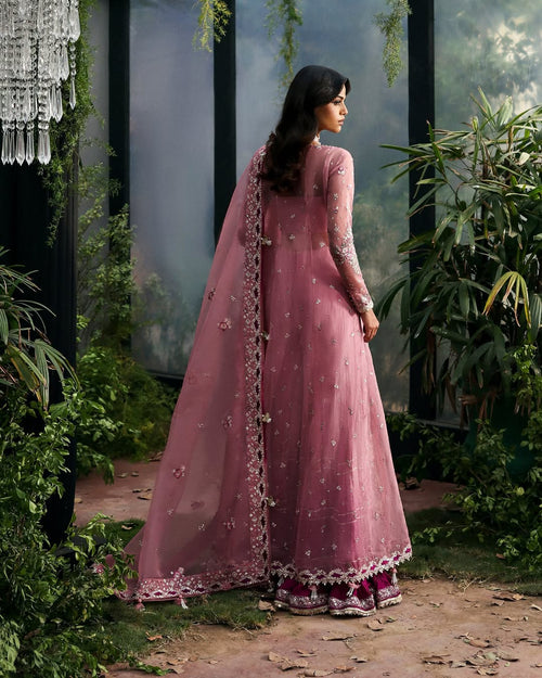 AFROZEH - LA FUCHSIA - SERAIRA - ( AFRZ-0132 )