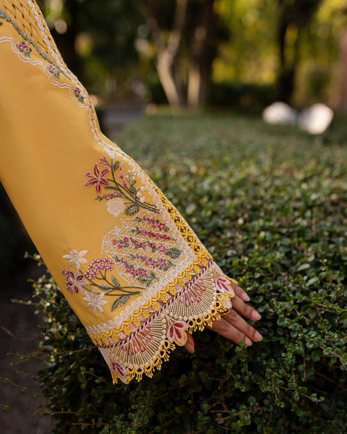 QALAMKAR-QLINE-OLENA ✨️(QAL-0153)