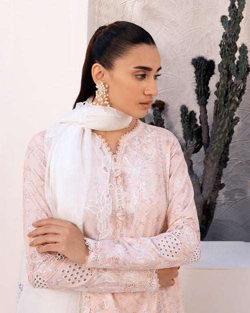 QALAMKAR-QLINE-MISO ✨️ (QAL-0162)