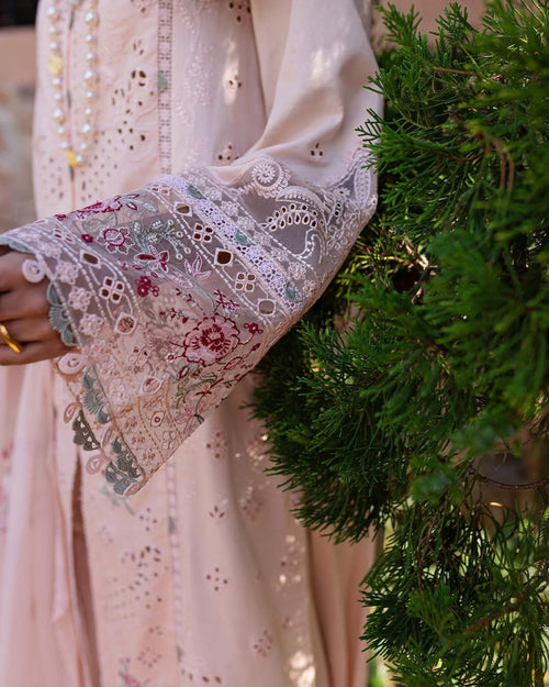 QALAMKAR-QLINE-NEHA✨️ (QAL-0154)