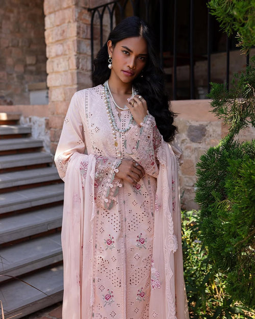 QALAMKAR-QLINE-NEHA✨️ (QAL-0154)