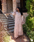 QALAMKAR-QLINE-NEHA✨️ (QAL-0154)