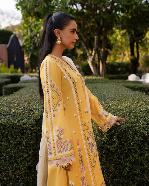 QALAMKAR-QLINE-OLENA ✨️(QAL-0153)