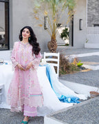 ALIYANAS - RAQS ( ALY-0042 ) CHIKAN KARI