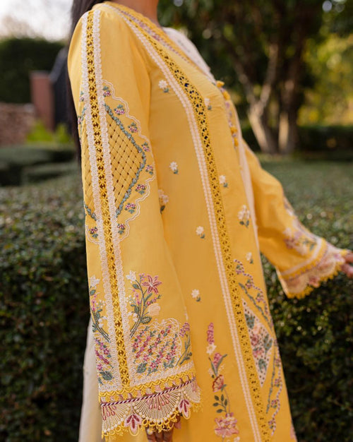 QALAMKAR-QLINE-OLENA ✨️(QAL-0153)