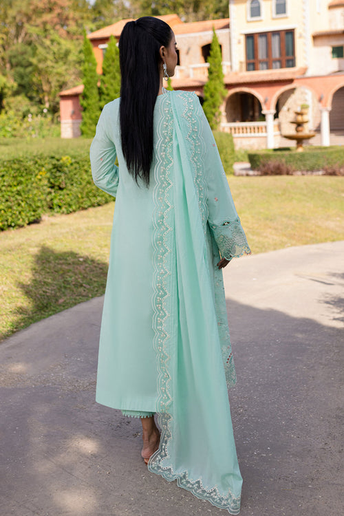 QALAMKAR-QLINE-HELEN.✨ (QAL-0165)