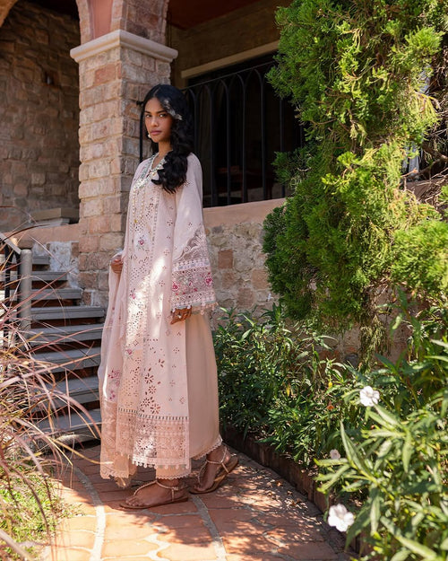 QALAMKAR-QLINE-NEHA✨️ (QAL-0154)