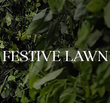 QALAMKAR FESTIVE LAWN