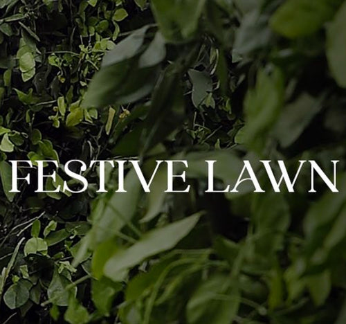 QALAMKAR FESTIVE LAWN