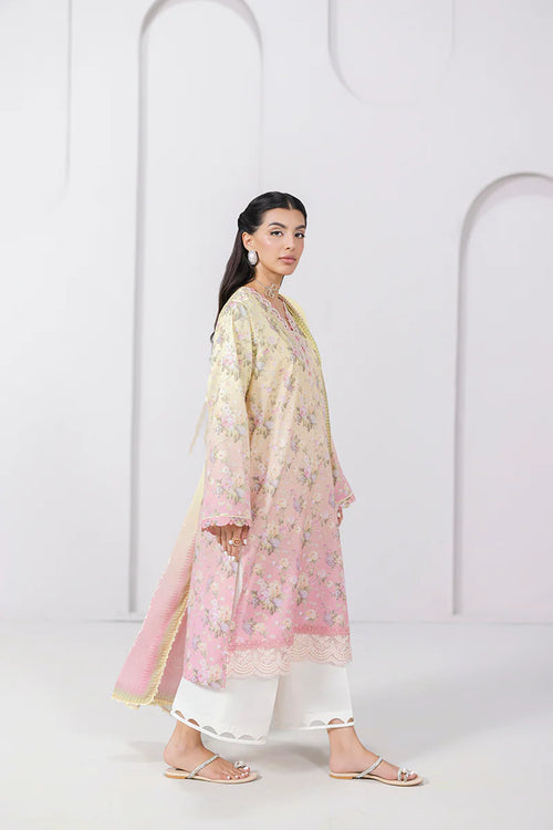 QALAMKAR QPRINTS - SIERRA. ✨ (QAL-0221)