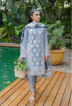 QLINE WINTER AVELINE (QAL-0092)