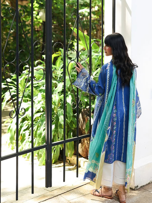 Qalamkar Qprint's'26 - Viona A X-10 (B)  - ( QAL-0250 )