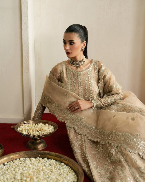 MEHEKTI - AFROZEH - PEHLI NAZAR FORMAL - ( AFRZ-0141 )