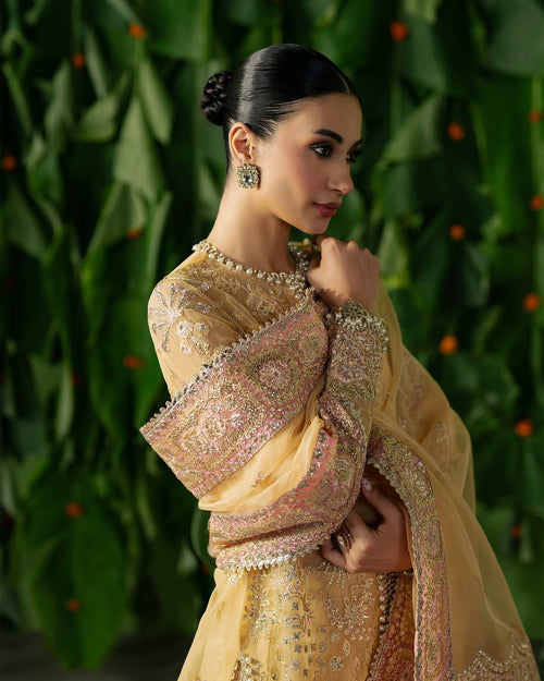 CHAHAT - AFROZEH - PEHLI NAZAR WEDDING FORMAL - ( AFRZ-145 )