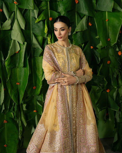 CHAHAT - AFROZEH - PEHLI NAZAR WEDDING FORMAL - ( AFRZ-145 )