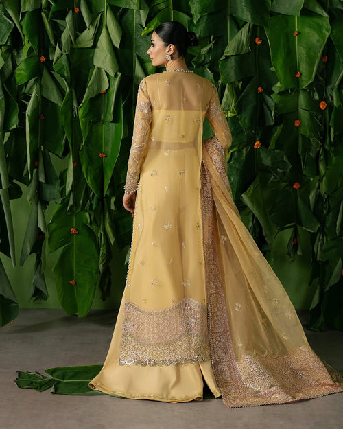 CHAHAT - AFROZEH - PEHLI NAZAR WEDDING FORMAL - ( AFRZ-145 )