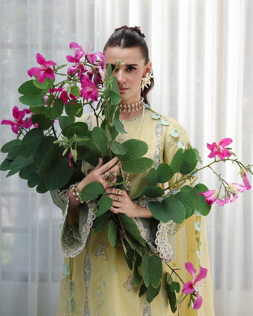 QALAMKAR - CHIKANKARI - AYLA - ( QAL-308 )