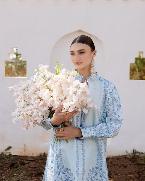 ALIYANA'S AMEL CODE SET (ALY-0053)